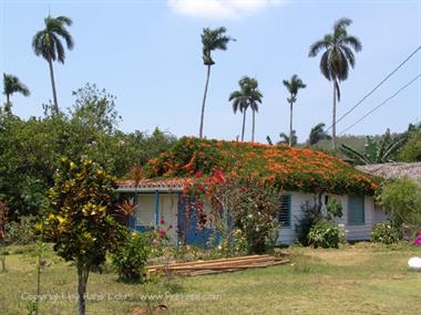 2004 Cuba, Maria la Gorda - Cayo Levisa, DSC00620 B_B720